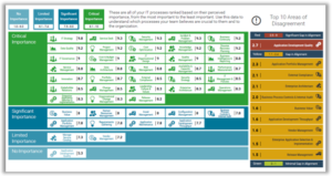 This report provides a detailed summary of process importance. Critical importance processes (green) have a score above 8. The right hand side shows top areas of disagreement – processes that some team members rated highly important and other rated unimportant.